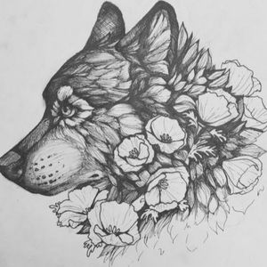 Meet your Posher, Aislen